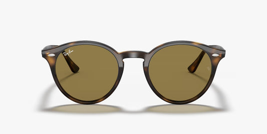 RB2180 TORTOISE BROWN