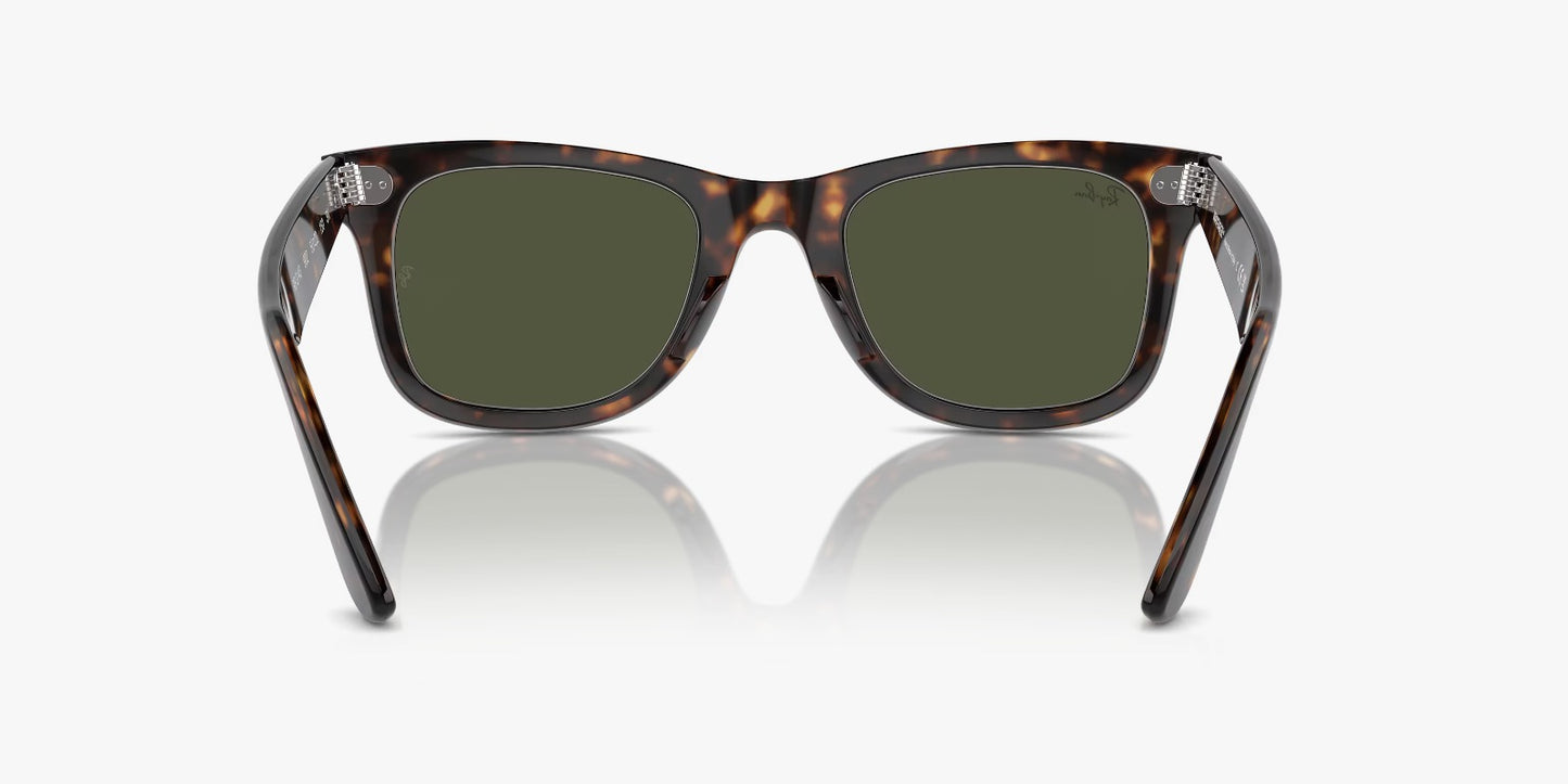 RB WAYFARER TORTOISE G15