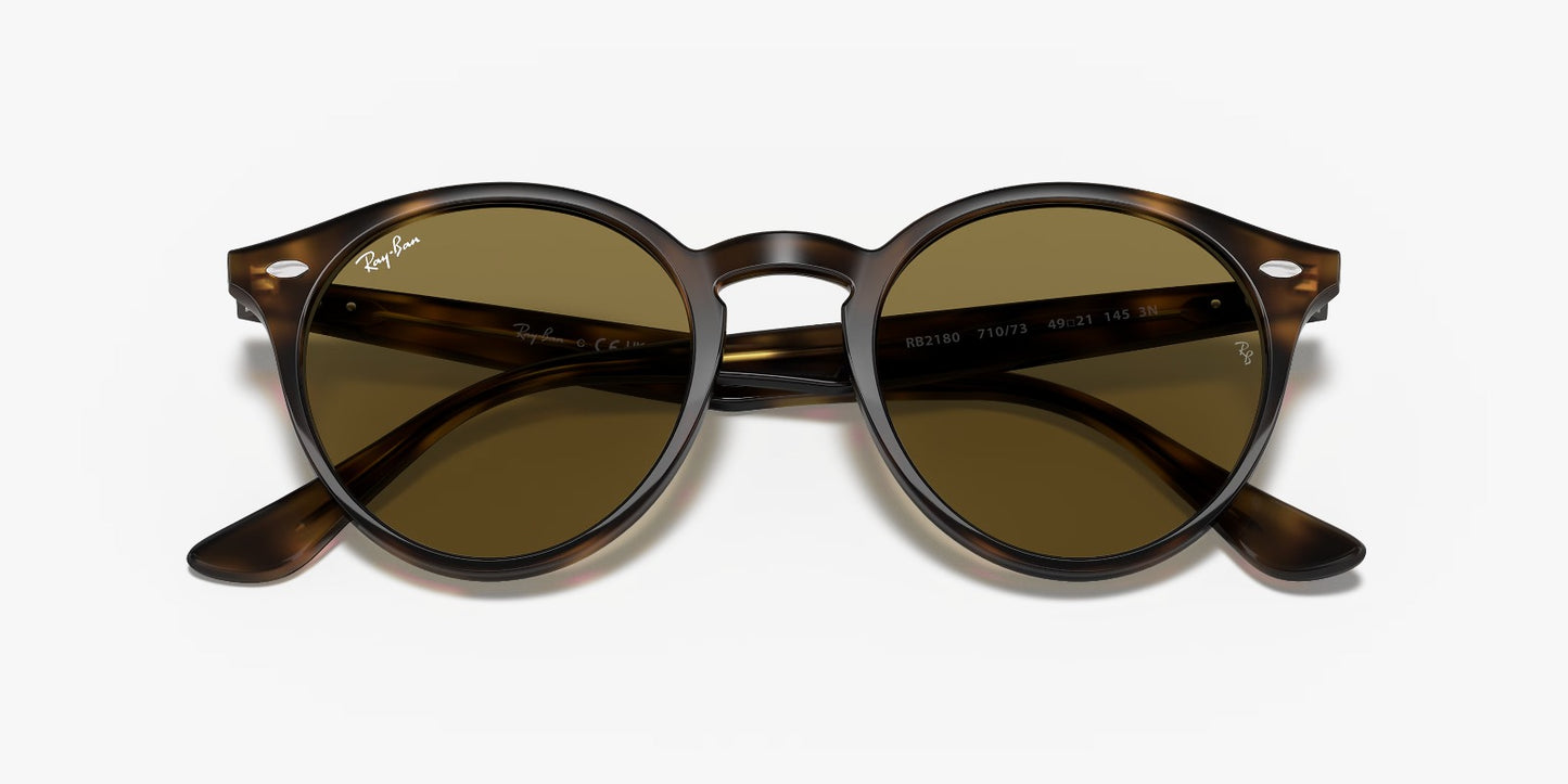 RB2180 TORTOISE BROWN