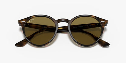 RB2180 TORTOISE BROWN
