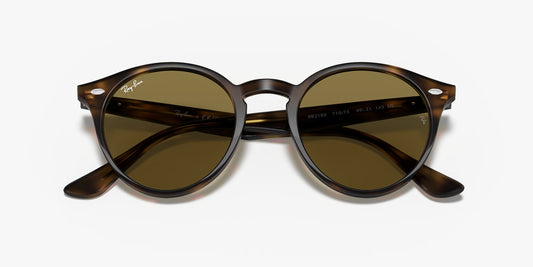 RB2180 TORTOISE BROWN