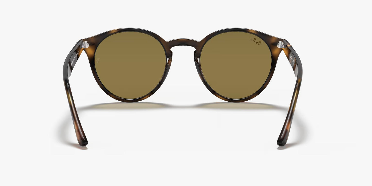 RB2180 TORTOISE BROWN
