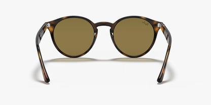 RB2180 TORTOISE BROWN