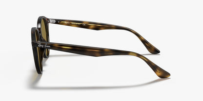 RB2180 TORTOISE BROWN