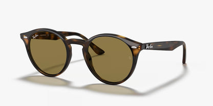 RB2180 TORTOISE BROWN
