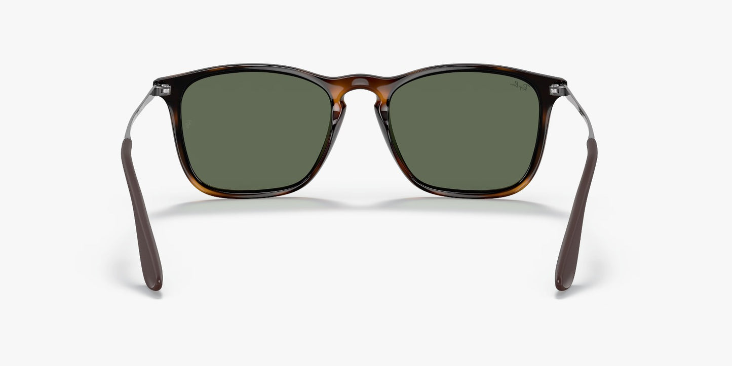 RB CHRIS TORTOISE G15