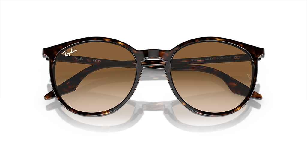 RB2204 TORTOISE BROWN - Gleam Gallery HN - vista 1